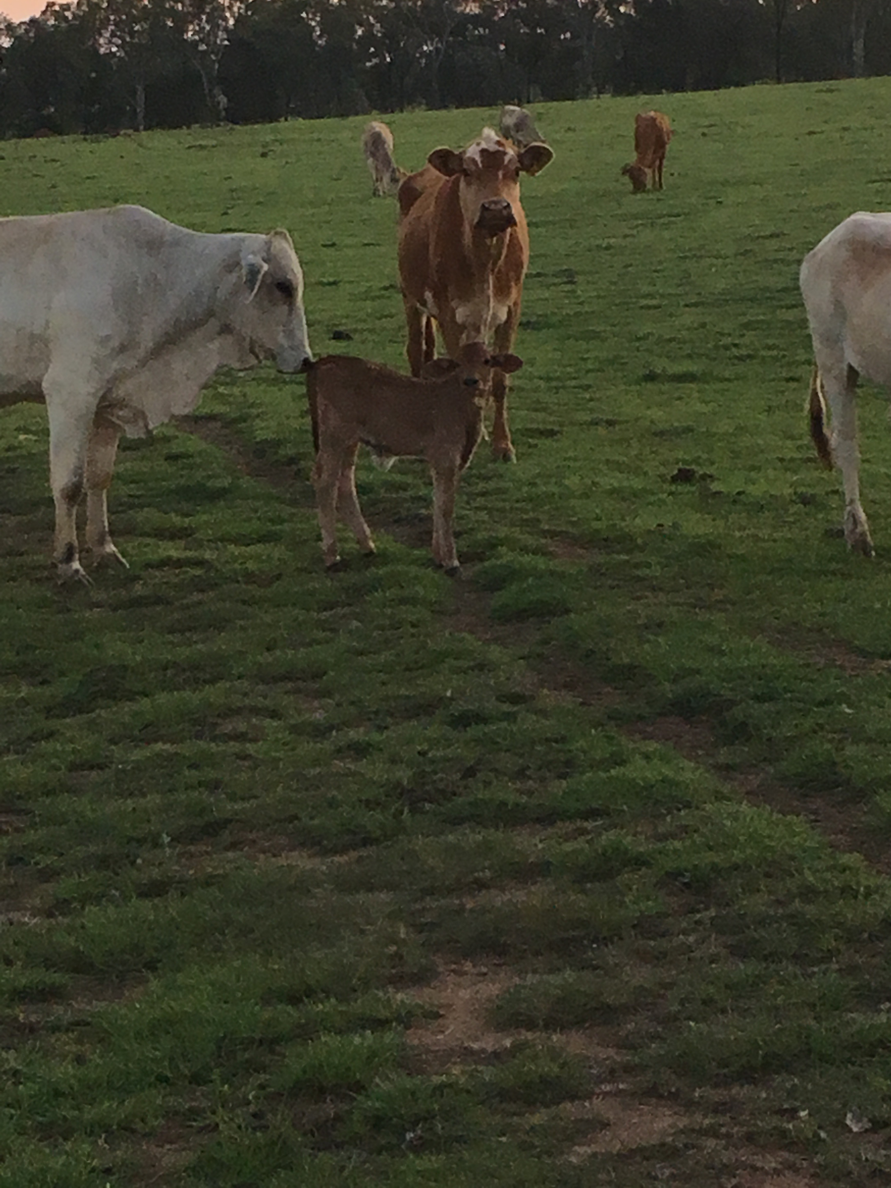 20151120_183010_IMG_1623[1]