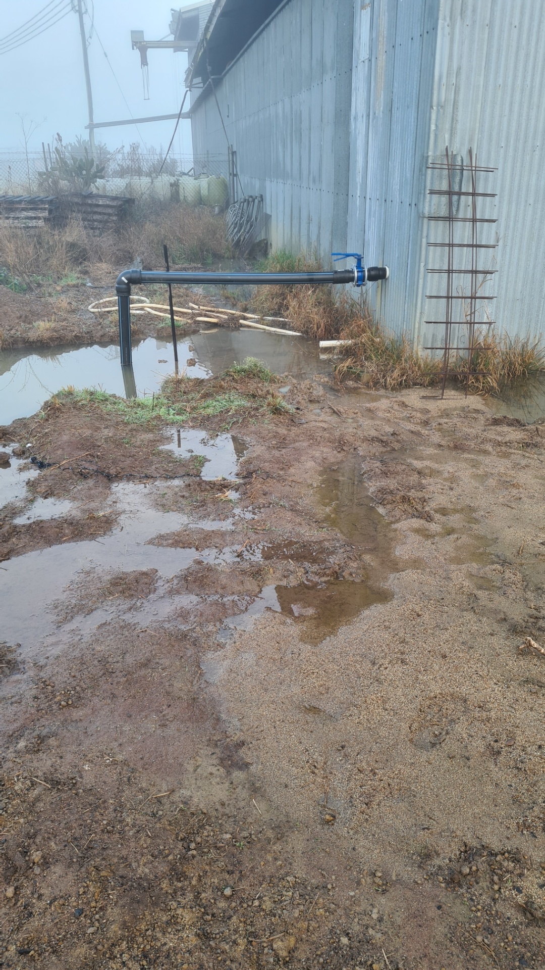 20220814_065054_Resized_20220814_065023[1]